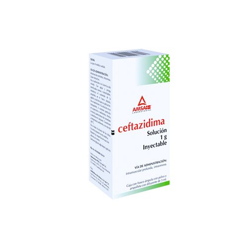 CEFTAZIDIMA 1GR C/DILUYENTE 3ML, G.I. AMSA 1  amp