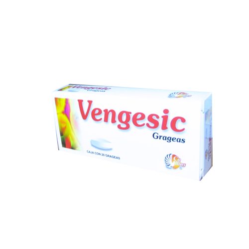 FENILBUTAZONA DEXAMETASONA / METOCARBAMOL /HIDROXIDO DE MAGNESIO VENGESIC 20 tab