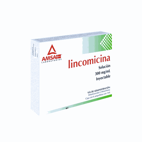 LINCOMICINA 300 MG / 1 ML, G.I. AMSA 6  amp