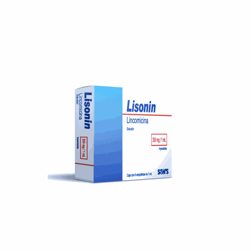 LINCOMICINA 300 MG / 1 ML, LISONIN 6  amp