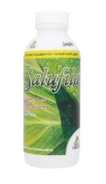 [714908105483] EXTRACTO DE CLOROFILA/MENTA/HIERBABUENA 500 ml, SALUFILA
