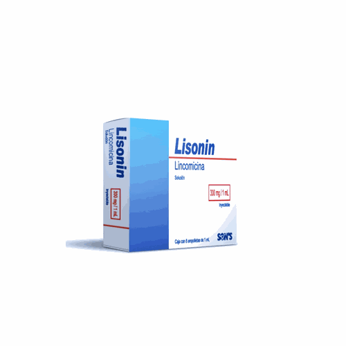 LINCOMICINA 300 mg/1 ml, 6 amp, LISONIN