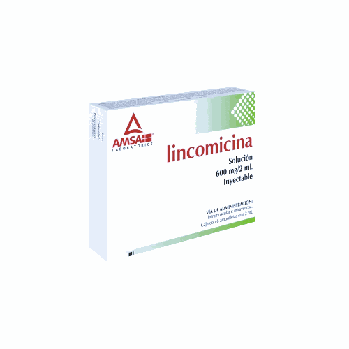 [7501349021983] LINCOMICINA 600 mg/2 ml, 6 amp, AMSA
